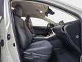 Lexus NX 300 300h Premium 2WD Blanco - thumbnail 7