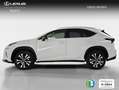 Lexus NX 300 300h Premium 2WD Blanco - thumbnail 3