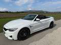BMW M4 M4 Cabrio M-DKG Aut. (F83) Weiß - thumbnail 17