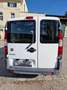 Fiat Doblo Doblo Cargo Maxi 1,4 8V Weiß - thumbnail 3
