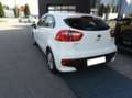 Kia Rio 1.2 CVVT 5p. ECO GPL Active Blanc - thumbnail 7