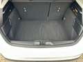 Ford Focus Lim. Active X 2.Hd.|Keyless|Kam|ACC Weiß - thumbnail 25