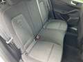 Ford Focus Lim. Active X 2.Hd.|Keyless|Kam|ACC Weiß - thumbnail 24