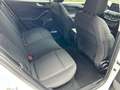 Ford Focus Lim. Active X 2.Hd.|Keyless|Kam|ACC Weiß - thumbnail 23