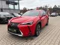 Lexus UX 250h Style Edition LED, Kamera, AppleCarPlay Rot - thumbnail 2