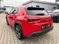 Lexus UX 250h Style Edition LED, Kamera, AppleCarPlay Rot - thumbnail 5