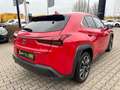 Lexus UX 250h Style Edition LED, Kamera, AppleCarPlay Rot - thumbnail 4