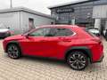 Lexus UX 250h Style Edition LED, Kamera, AppleCarPlay Rot - thumbnail 15