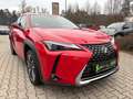 Lexus UX 250h Style Edition LED, Kamera, AppleCarPlay Rot - thumbnail 3