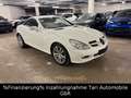 Mercedes-Benz SLK 280 Roadster Comand, Bi-Xenon, Memory, ha/ka Blanco - thumbnail 13