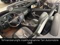 Mercedes-Benz SLK 280 Roadster Comand, Bi-Xenon, Memory, ha/ka Blanco - thumbnail 18
