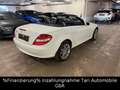 Mercedes-Benz SLK 280 Roadster Comand, Bi-Xenon, Memory, ha/ka Blanco - thumbnail 15
