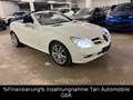 Mercedes-Benz SLK 280 Roadster Comand, Bi-Xenon, Memory, ha/ka Blanco - thumbnail 16