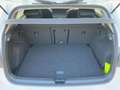 Volkswagen Golf VIII 1.5 TSI LIFE 5JG+LED+NAVI+PANO+DAB+SHZ Bianco - thumbnail 14
