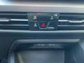 Volkswagen Golf VIII 1.5 TSI LIFE 5JG+LED+NAVI+PANO+DAB+SHZ Bianco - thumbnail 17