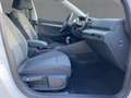 Volkswagen Golf VIII 1.5 TSI LIFE 5JG+LED+NAVI+PANO+DAB+SHZ Bianco - thumbnail 12
