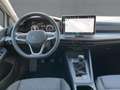 Volkswagen Golf VIII 1.5 TSI LIFE 5JG+LED+NAVI+PANO+DAB+SHZ Bianco - thumbnail 9