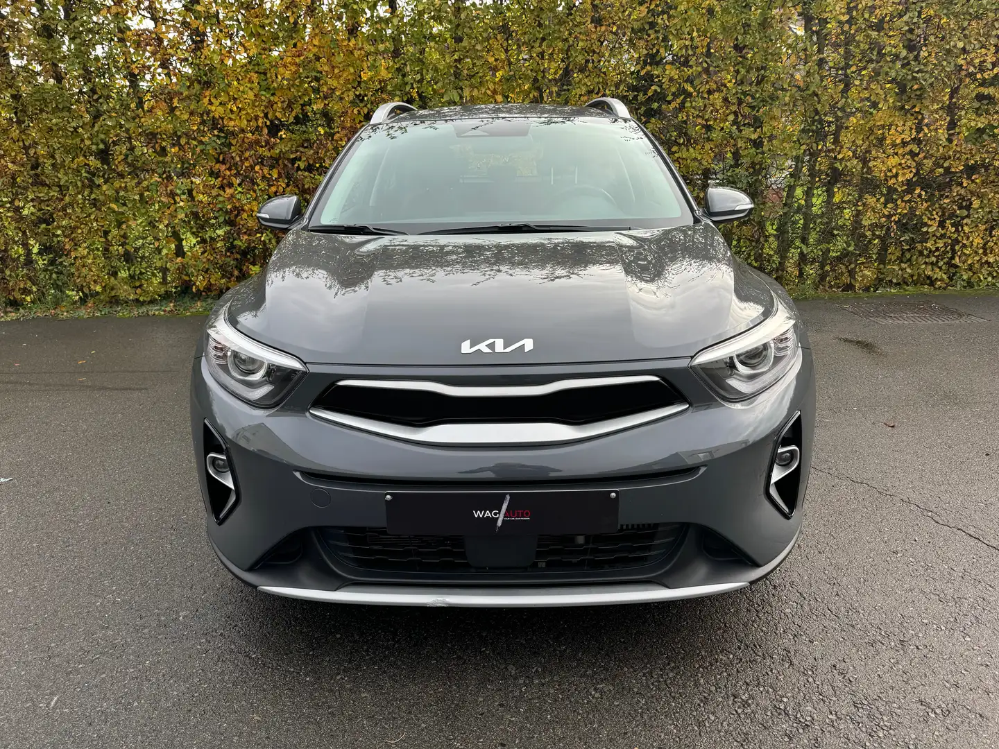 Kia Stonic Stonic 1.0 / CARPLAY / / CAM / Gris - 2