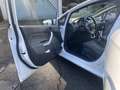 Ford Fiesta Titanium 1,6 TDCi DPF - thumbnail 12