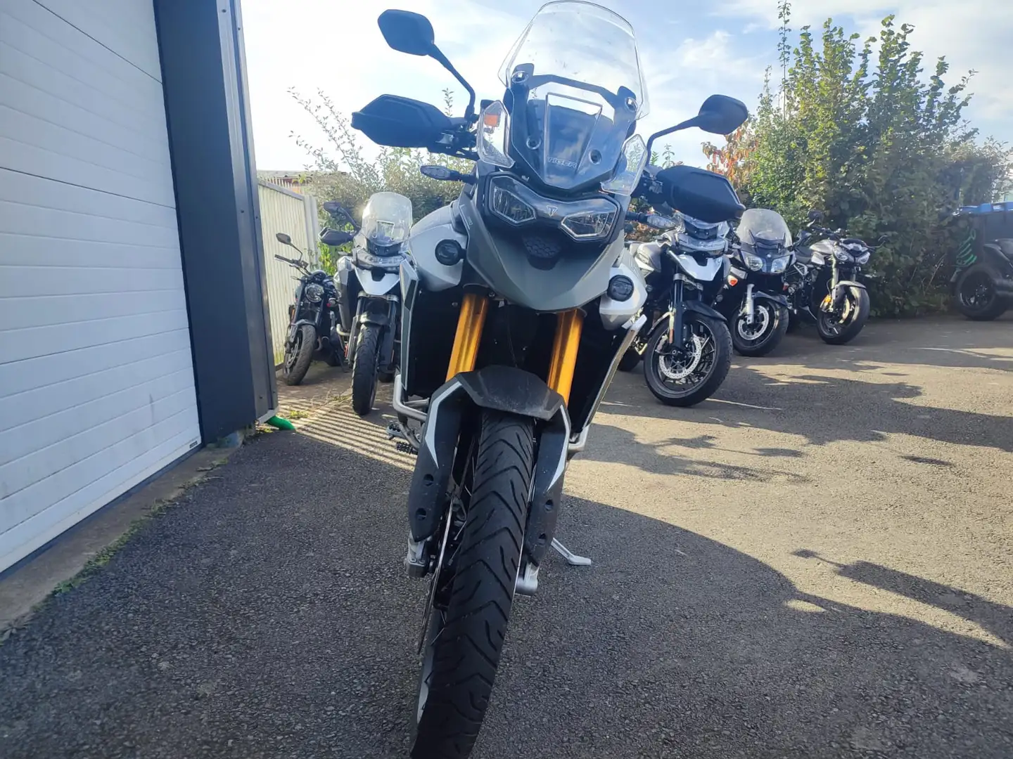 Triumph Tiger 900 Vert - 2