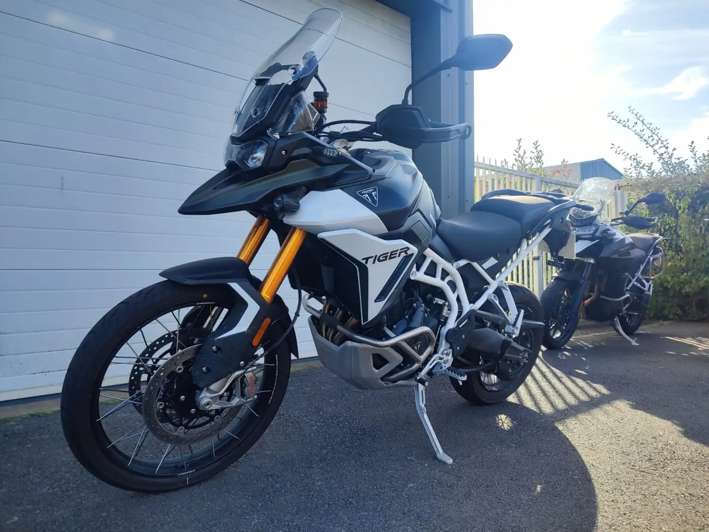 Triumph Tiger 900 Vert - 1