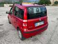 Fiat Panda Panda 1.2 Active 69cv E5 Rosso - thumbnail 4