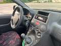 Fiat Panda Panda 1.2 Active 69cv E5 Rosso - thumbnail 8
