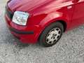 Fiat Panda Panda 1.2 Active 69cv E5 Rosso - thumbnail 2