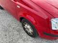 Fiat Panda Panda 1.2 Active 69cv E5 Rosso - thumbnail 1