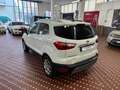 Ford EcoSport 1.0 EcoBoost 100 CV ST-Line Black Edition Bianco - thumbnail 6