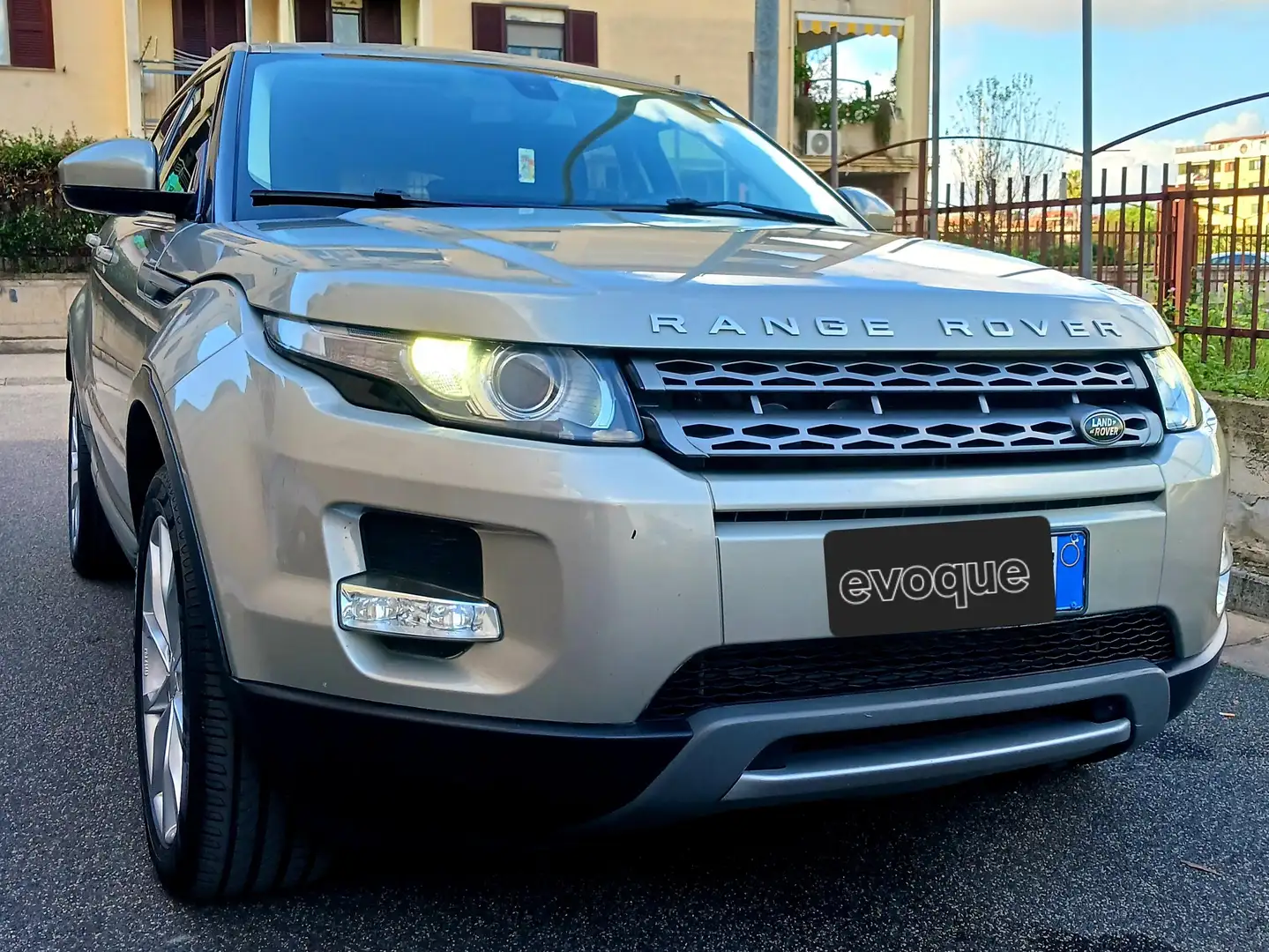 Land Rover Range Rover Evoque Range Rover Evoque I 2011 5p 2.2 td4 150cv auto 9m Grigio - 1