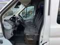 Ford Transit Kombi 310 L3 Trend+Hoch+9-Sitzplätze Weiß - thumbnail 12