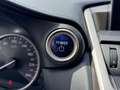 Lexus NX 300h Sport Edition 2017 AUT NAVI CAMERA LM NAP! Gris - thumbnail 48