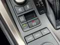 Lexus NX 300h Sport Edition 2017 AUT NAVI CAMERA LM NAP! Gris - thumbnail 46