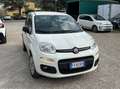 Fiat Panda Panda III 0.9 t.air t. natural power Easy 70cv Bianco - thumbnail 1