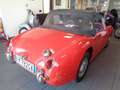 Austin Healey SPRITE MK1 Czerwony - thumbnail 5