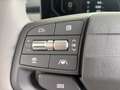 Kia EV3 FWD 81,4kWh Long Range Earth plus Grau - thumbnail 12