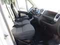 Fiat Ducato 35 2.3 MJT 140CV PLMX Cabinato Maxy Cassone allum Blanc - thumbnail 12