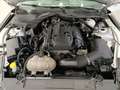 Ford Mustang Fastback 2.3 EcoBoost Aut. Gris - thumbnail 22