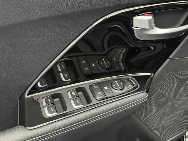 Kia E-Niro view 25