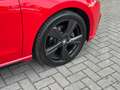 SEAT Ibiza FR 1.0 TSI Black Edition Pano Virtual Beats 18'' C Rot - thumbnail 11