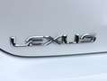 Lexus GS 450h Luxury Line | Mark Levinson | Stoelverwarming/Vent Blanc - thumbnail 43