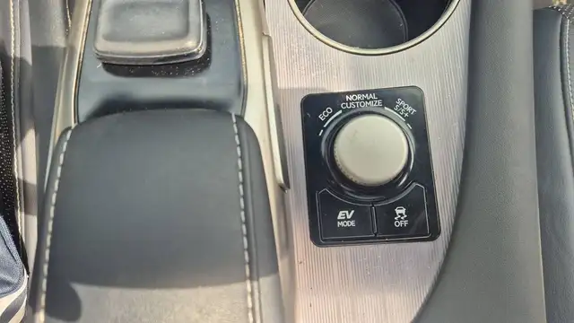 Lexus RX view 14