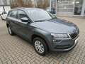 Skoda Karoq Active+WR Grau - thumbnail 1