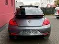 Volkswagen New Beetle 2.0 TSI DSG 220PS R-LINE SPORT LEDER FENDER ALU18" Gris - thumbnail 7