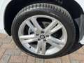 SEAT Ateca 1.5 TSI FR Business Intense / AUTOMAAT/ PARK. SENS Wit - thumbnail 39