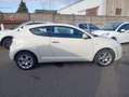 Alfa Romeo MiTo MiTo 1.4 T Distinctive Premium Pack Blanc - thumbnail 4