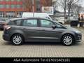 Ford S-Max Business 2.0 Pano Automatik Gr.Service Neu Grau - thumbnail 6