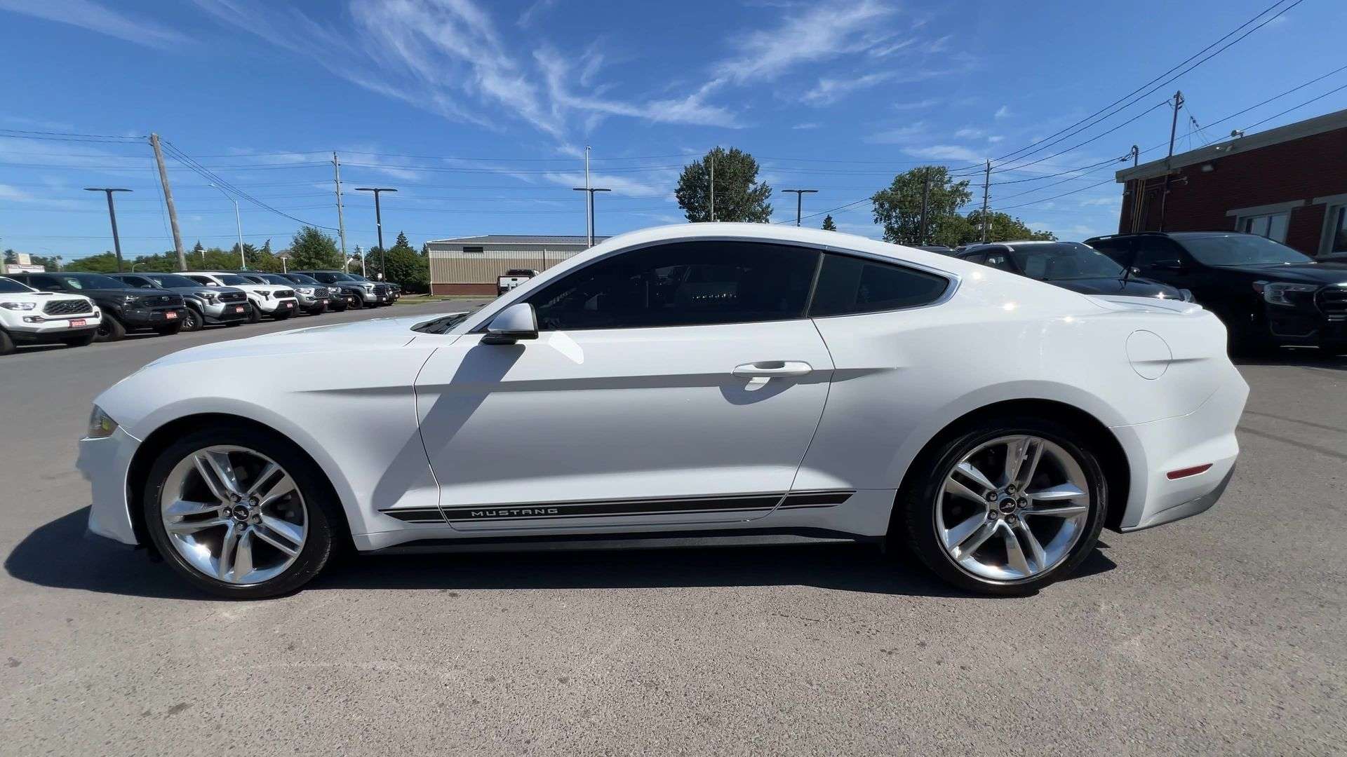 2019 Ford Mustang
