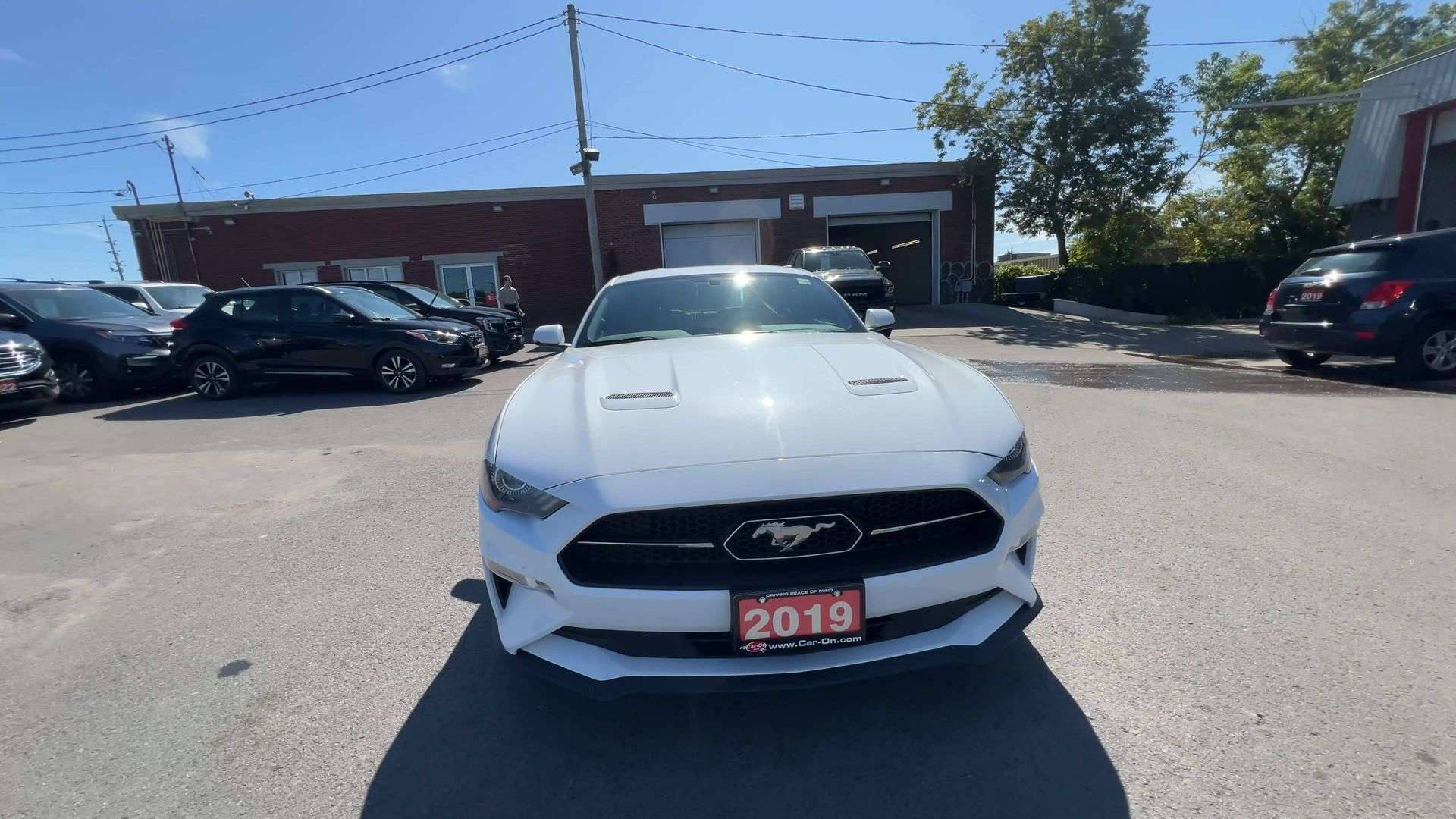 2019 Ford Mustang